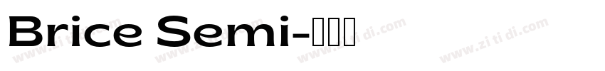 Brice Semi字体转换